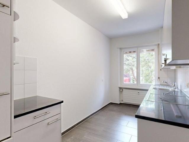 Charming city apartment for your feel good life
