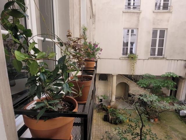 Charming, newly renovated two bedroom flat in the heart of Saint Germain des Près, near the Seine Paris Amsterdam Apartments for Rent
