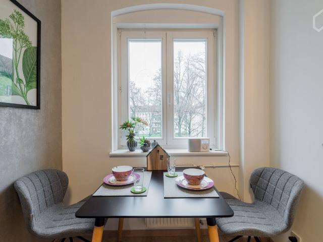 Charming & nice flat in Prenzlauer Berg, Berlin Amsterdam Apartments for Rent