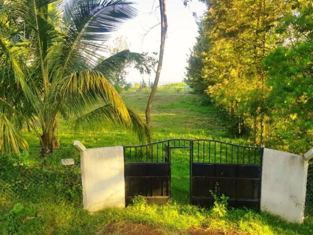 Charming plot on sale