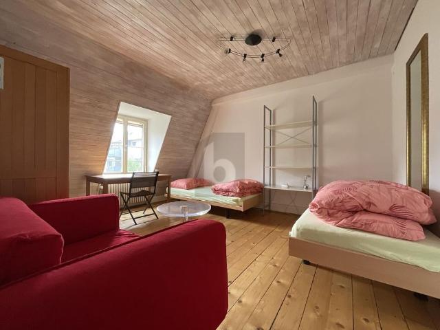 CHARMING, QUIET AND WITH A VIEW OF THE GREEN AREA