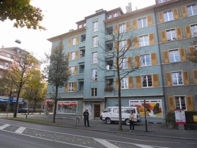 Charming renovated apartment in an old building
