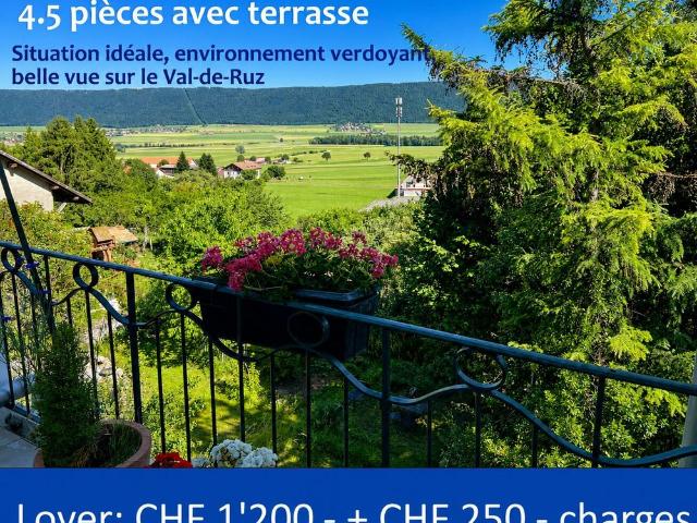 Charming renovated apartment with terrace in the heart of Cernier