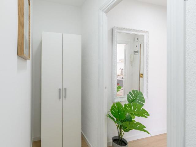 Charming single in shared flat in Getafe