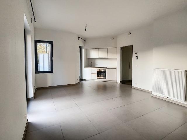 Charming studio apartment with a terrace for rent!