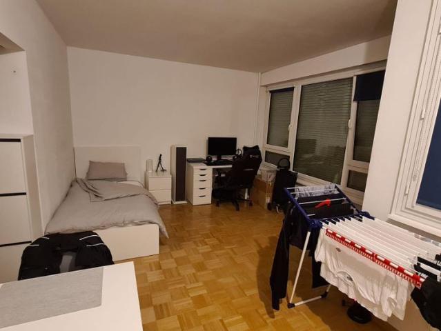 Charming Studio with Balcony in Onex