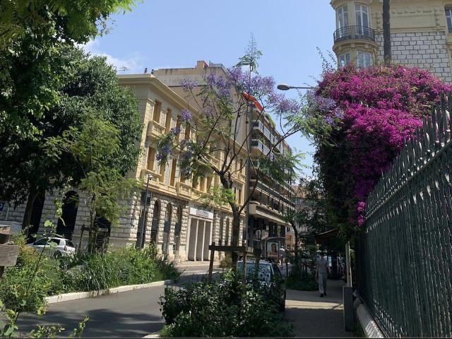 Charming, Stylish Studio Carré D'or