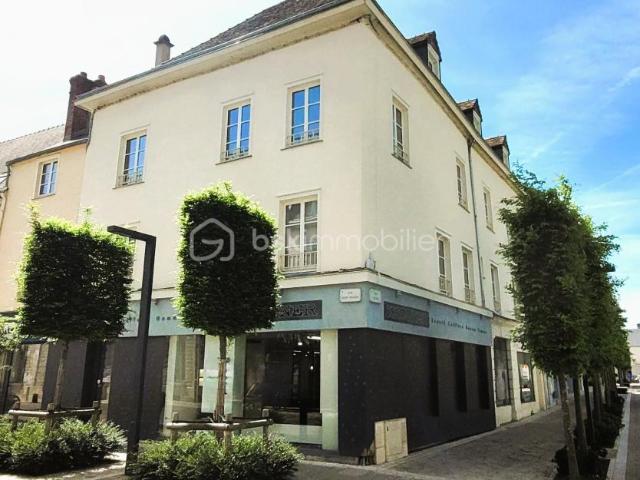 Chartres Vente Immeuble 28