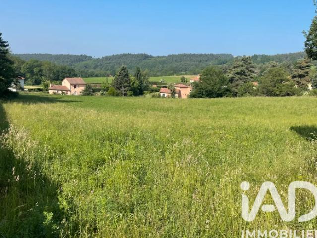 Chaspinhac Vente Terrain 43