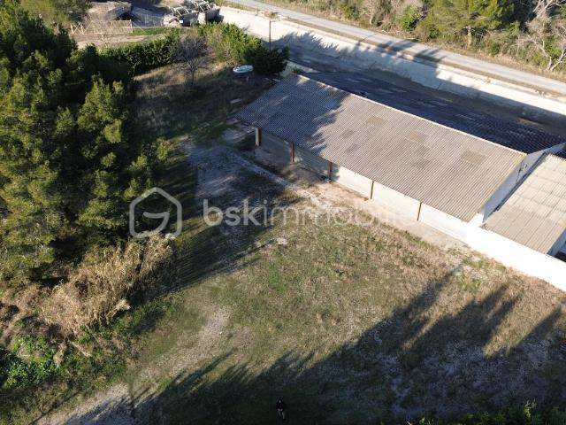 Cheval Blanc Vente Maison 84
