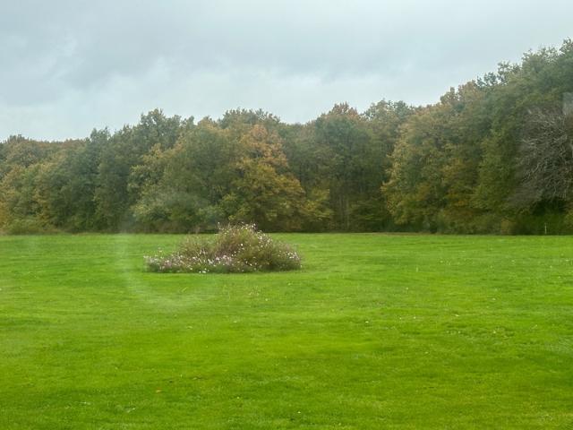 Cheverny Vente Propriété/château 41