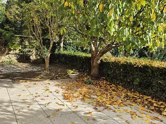 Chevreuse 78460 Location appartement 3 pièces t3