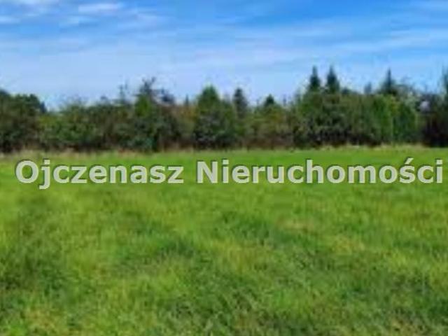 Działka budowlana 2228 m² z lasem, media, asfalt