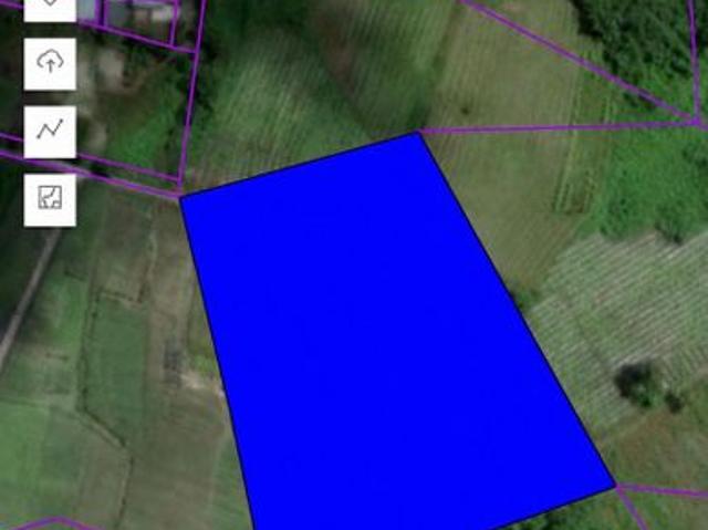 Cheap/ 13th miles land/ Agriculture land/ rectangle shape/ good invest/ nice