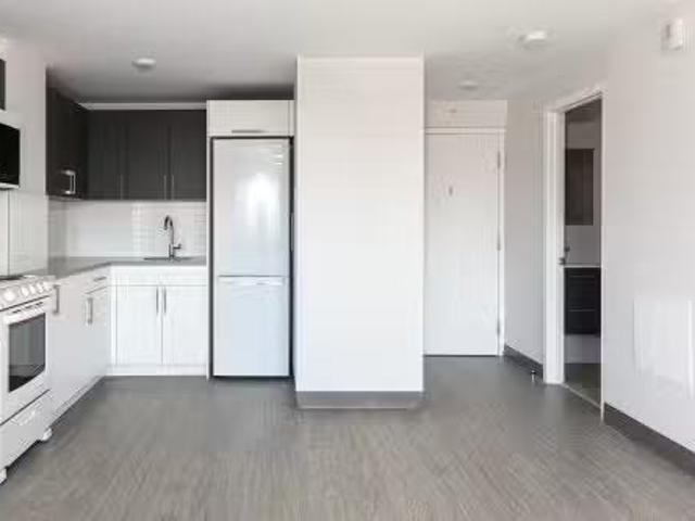 Cheap 1 BR 102 3605 Rue St Urbain, Montréal Le Plateau Mont R.