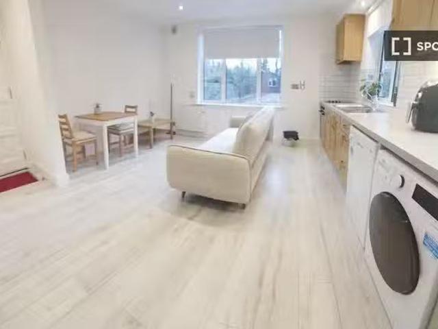 Nice 1 BR 1 bedroom flat for rent in Southside, Dublin