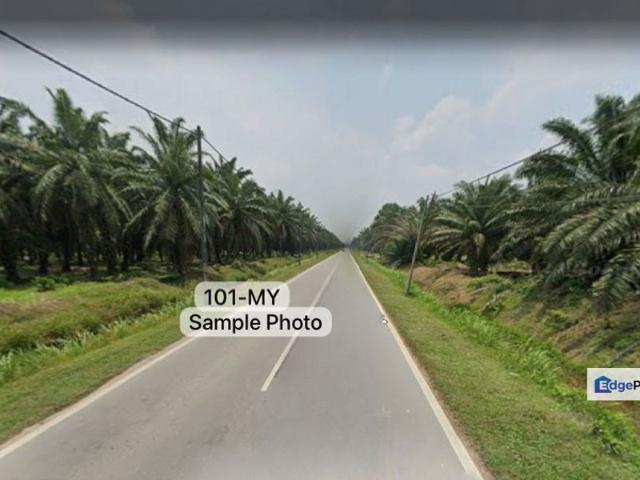 [CHEAP VALUE BUY FREEHOLD] Agriculture Land @ Kampung Permatang, Kuala Selangor