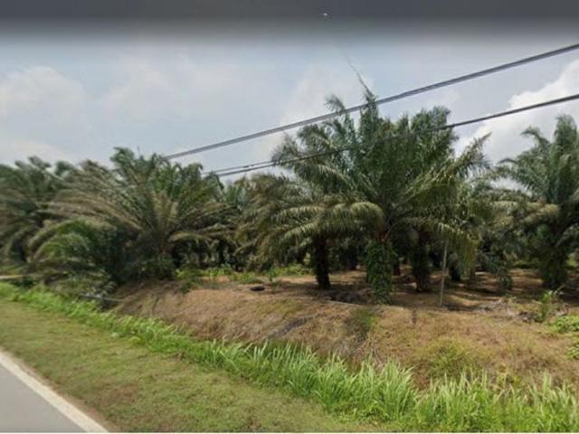[CHEAP VALUE BUY] Agriculture Land @ Kampung Permatang, Kuala Selangor