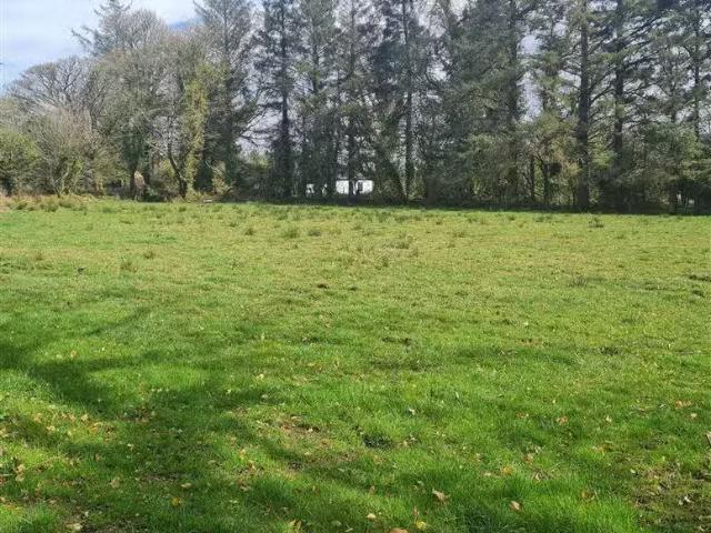 Charming Carrowwilkin, Curry, Sligo