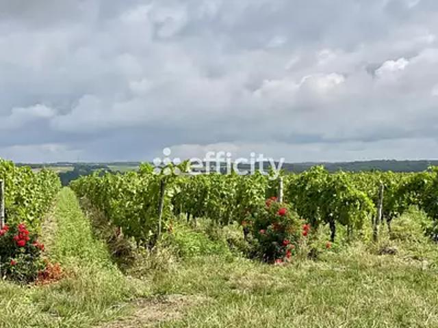 Cheillé 37190 Achat / Vente terrain