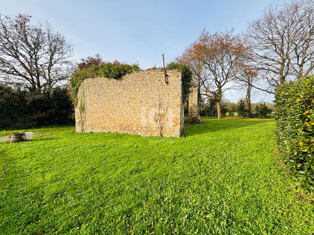 Cheix en Retz Vente Terrain 44