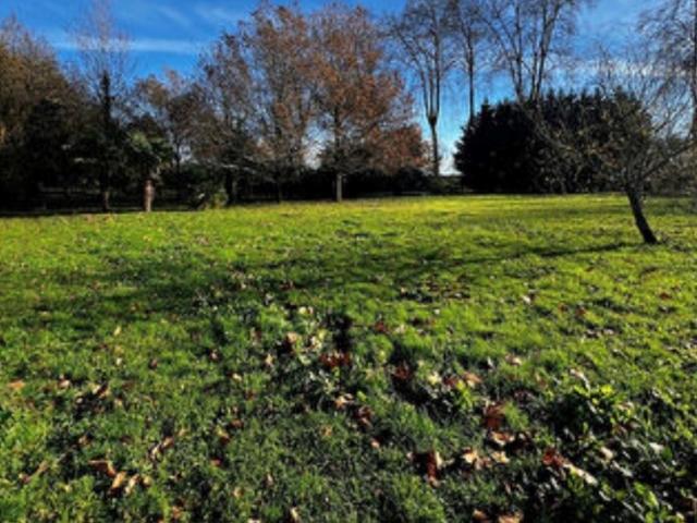 Chelles Vente Terrain 77