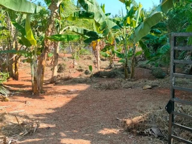 Chembukkavu, Thrissur City 3923 Sq.Ft. Plot in Chembukkavu Thrissur Listing ID: #10313