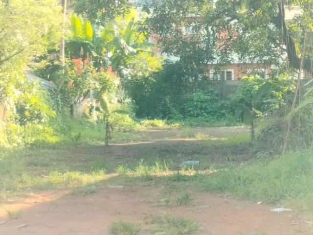 Chembukkavu, Thrissur City 7840 Sq.Ft. Plot in Chembukkavu Thrissur Listing ID: #10242