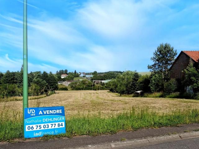 Chémery les Deux Vente Terrain 57