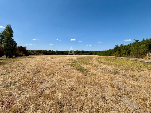 Chémery Vente Terrain 41