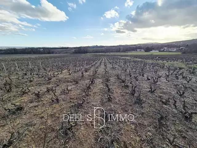 Chénas 69840 Achat / Vente terrain