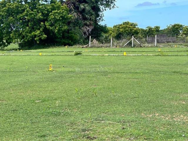 Chengalpattu Residential Plot For Sale Chennai