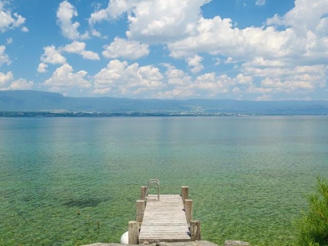 Chens sur Léman Vente Maison 74