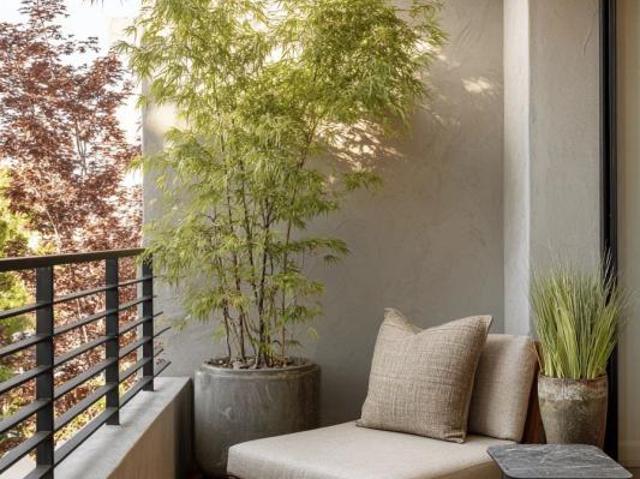 Cherbourg en Cotentin Vente Appartement 50