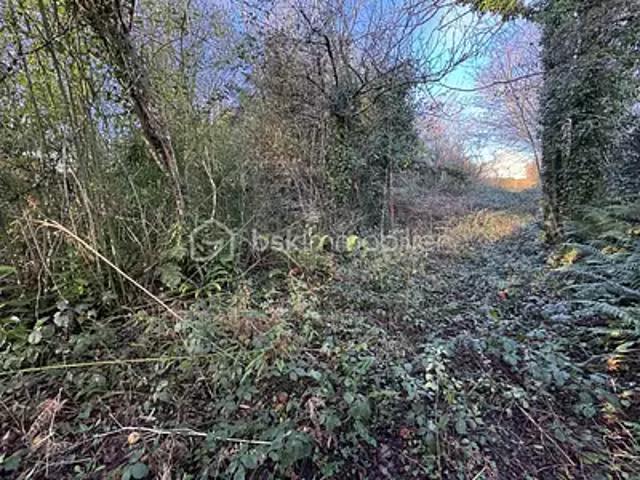 Cherbourg Octeville 50100 Achat / Vente terrain