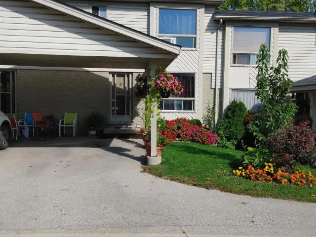 Cherrytree Properties