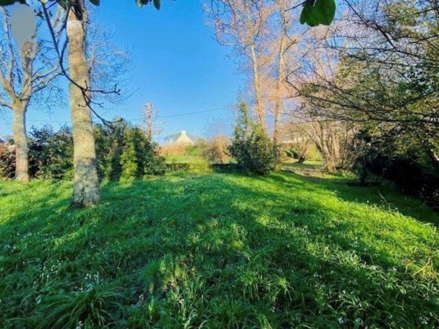 Chessy Vente Terrain 77