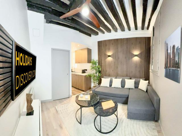 Chic Louvre Apartment