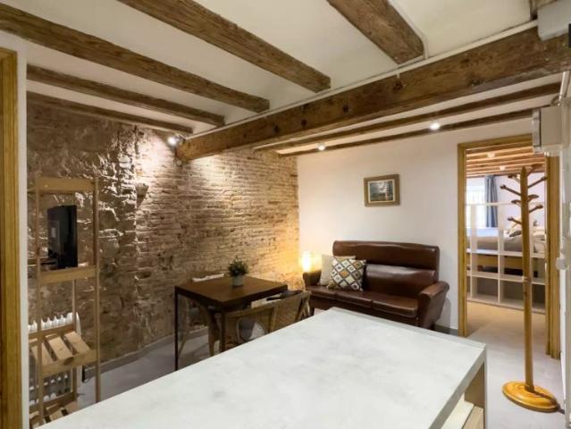 Chic 1 bedroom apartment for rent in El Raval