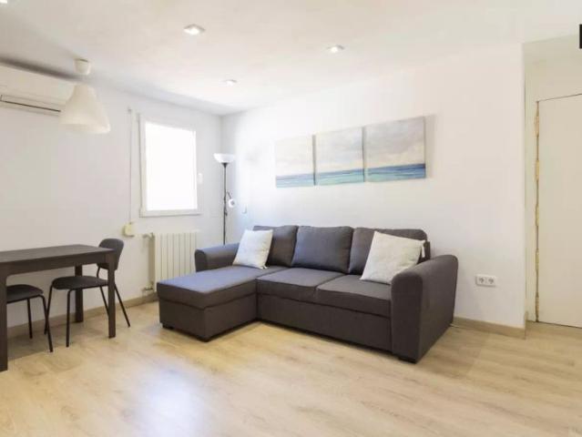 Chic 2 bedroom apartment for rent, perfect for professionals and postgraduates, in Malasaña