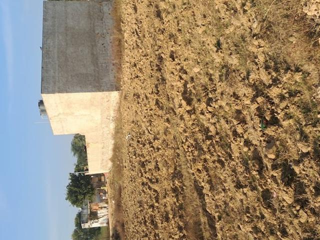 Chikani 100 Sq.Yd. Plot in Chikani Alwar Listing ID: #9896