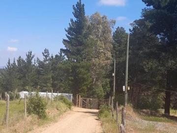 Chillán, C. Los Lagos/Colliguay