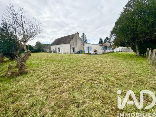 Chilleurs aux Bois Vente Maison 45