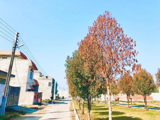 Chinar bagh 6 Maral Commercial plot for sale Coner plot Lahore Chinar Bagh ID 61955