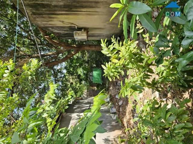 Chính chủ bán gấp đất Thúy Lĩnh Hoàng Mai 85m2 5m mặt tiền 4 tầng chỉ hơn 7 tỷ ô tô dừng đỗ cửa