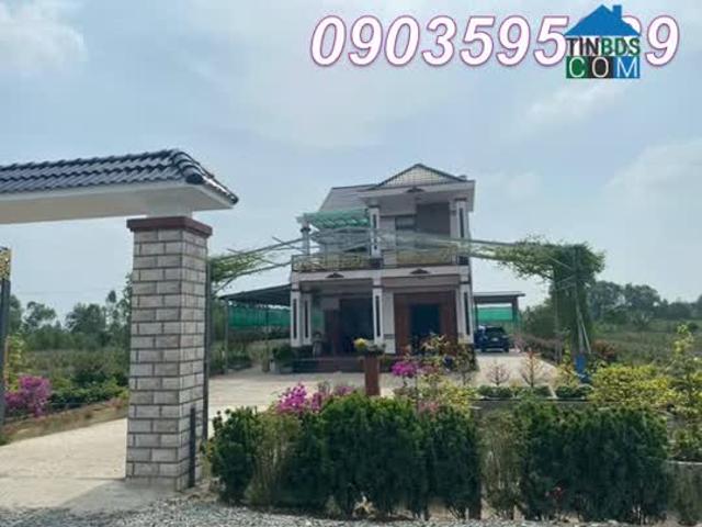 Chính chủ bán nhà đất tại Ấp 3 Tân Thành, Thủ Thừa, Long An. Nay là xã Mỹ Thạnh, Tây Ninh