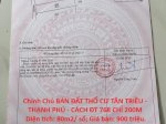 Chính Chủ Bán Đất Thổ Cư Tân Triều Thạnh Phú Cách Đt 768 Chỉ 200M