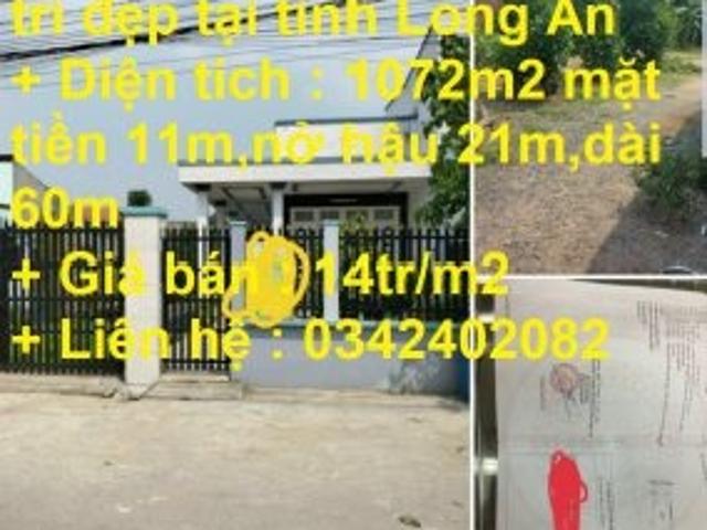 Chính chủ cần bán nhà vị trí đẹp tại tỉnh Long An