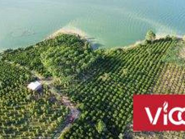 Chính Chủ Cần Bán Nhanh Lô Đất Tiềm Năng Lớn View Hồ Tại Kom Tum