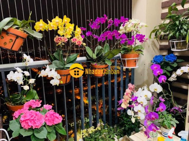Chính chủ cần bán căn hộ the pride tố hữu, hà đông 76m2 siêu đẹp